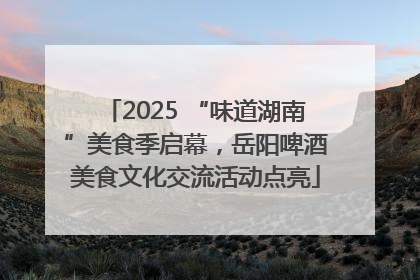 2025 “味道湖南”美食季启幕，岳阳啤酒美食文化交流活动点亮