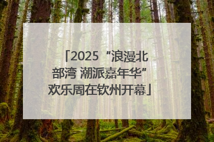 2025“浪漫北部湾 潮派嘉年华”欢乐周在钦州开幕