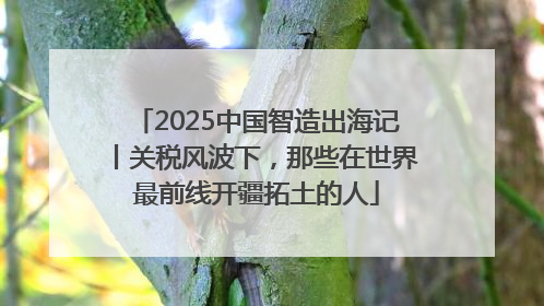 2025中国智造出海记丨关税风波下，那些在世界最前线开疆拓土的人