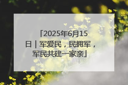 2025年6月15日｜军爱民，民拥军，军民共建一家亲