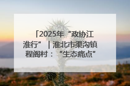 2025年“政协江淮行”｜淮北市渠沟镇程阁村：“生态痛点”变“生态景观”