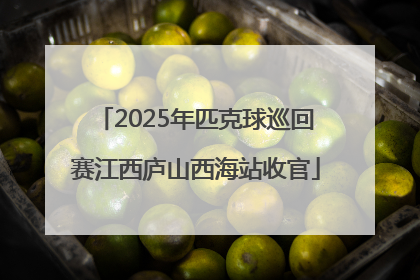2025年匹克球巡回赛江西庐山西海站收官