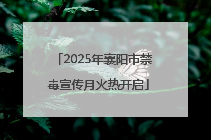 2025年襄阳市禁毒宣传月火热开启