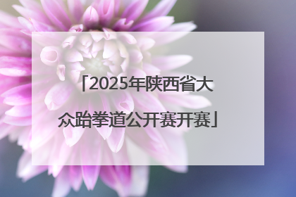 2025年陕西省大众跆拳道公开赛开赛