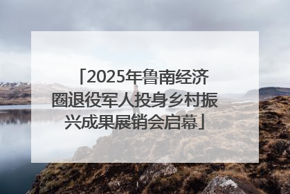 2025年鲁南经济圈退役军人投身乡村振兴成果展销会启幕