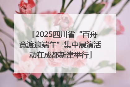 2025四川省“百舟竞渡迎端午”集中展演活动在成都新津举行