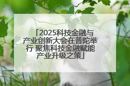 2025科技金融与产业创新大会在普陀举行 聚焦科技金融赋能产业升级之策