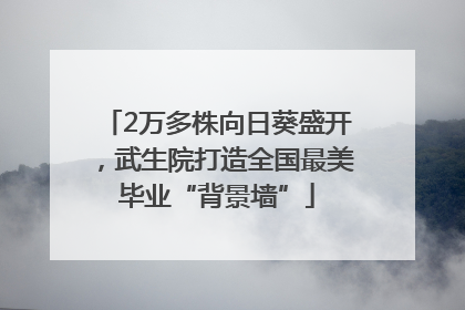 2万多株向日葵盛开，武生院打造全国最美毕业“背景墙”