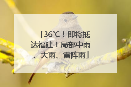 36℃！即将抵达福建！局部中雨、大雨、雷阵雨