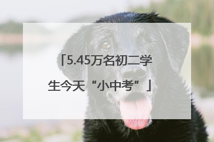 5.45万名初二学生今天“小中考”