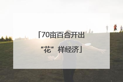 70亩百合开出“花”样经济