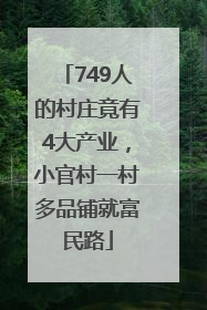 749人的村庄竟有4大产业，小官村一村多品铺就富民路