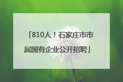 810人！石家庄市市属国有企业公开招聘