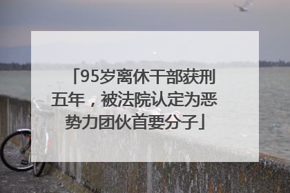 95岁离休干部获刑五年，被法院认定为恶势力团伙首要分子