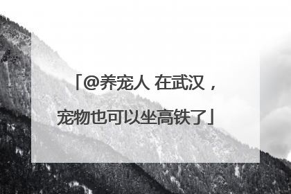 @养宠人 在武汉，宠物也可以坐高铁了