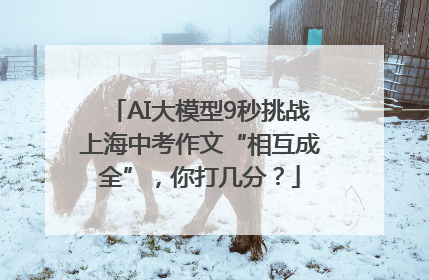 AI大模型9秒挑战上海中考作文“相互成全”，你打几分？