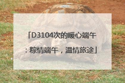 D3104次的暖心端午：粽情端午，温情旅途