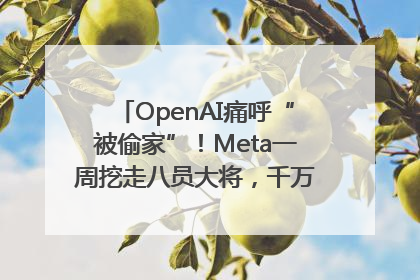 OpenAI痛呼“被偷家”！Meta一周挖走八员大将，千万美元薪酬战开打