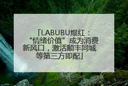 LABUBU爆红：“情绪价值”成为消费新风口，激活顺丰同城等第三方即配