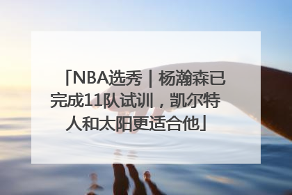 NBA选秀｜杨瀚森已完成11队试训，凯尔特人和太阳更适合他